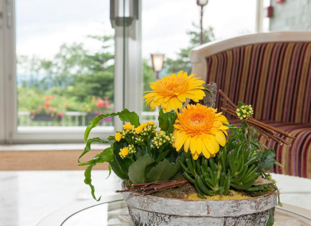 Alexain Hotel Restaurant & Wellness - Colmar Ouest Trois-Épis Εξωτερικό φωτογραφία